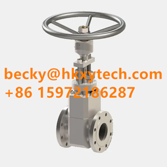 BAF Standard Check Valves BAF Standard Check Valves