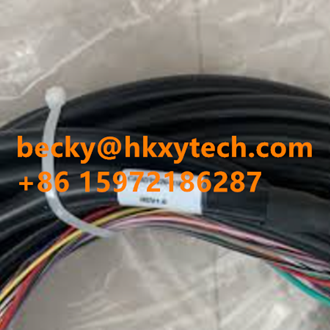 Honeywell CABDYN20-10 20 WAY IO CABLE 10m