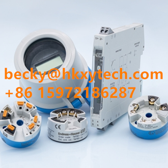 E+H Temperature Transmitter iTEMP TMT85 Arrived E+H Temperature Transmitter iTEMP TMT85 Arrived