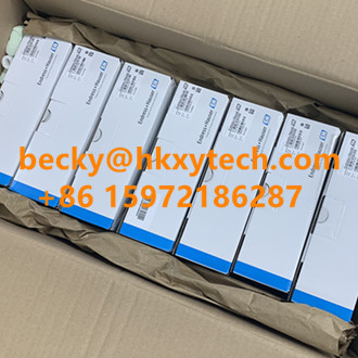 E+H FMP54 High-Pressure Procurement Guide E+H Levelflex FMP54 high-temperature high-pressure guided wave radar